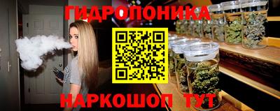 a pvp Обь