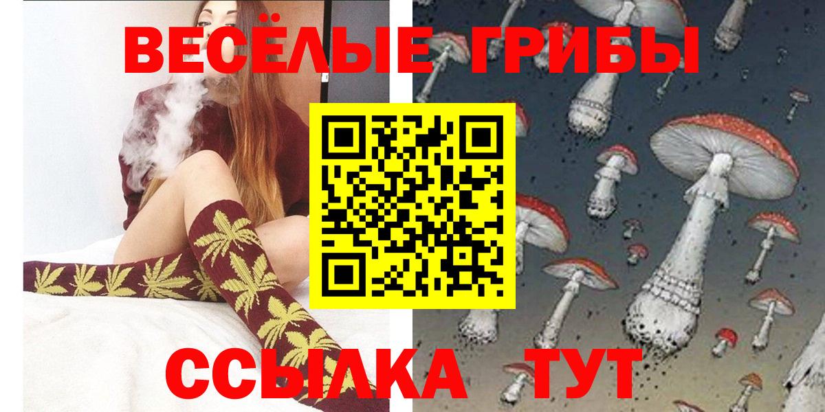 Галлюциногенные грибы Psilocybine cubensis  Вход с VPN  где можно купить   Сибай 